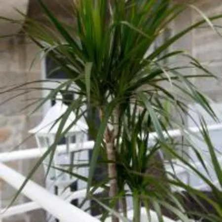 Apartament Guestready - Comendador Sto Ildefonso Porto